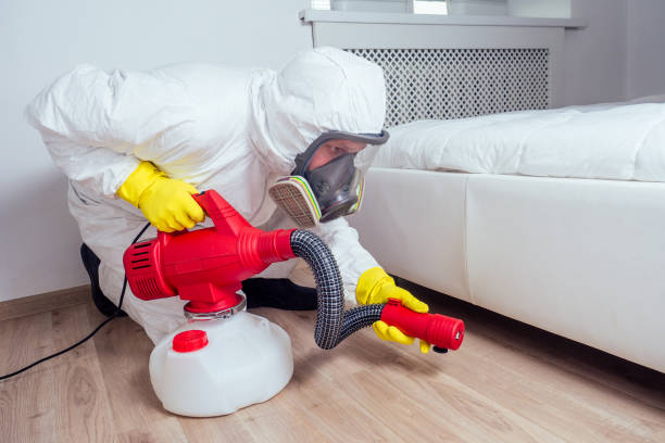 Best Insect Control  in Ridgeland, MS