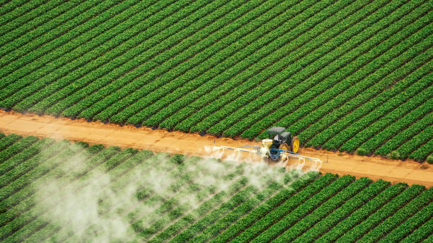 Best Pest Inspection Near Me  in Ridgeland, MS