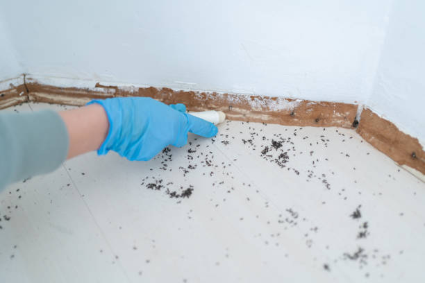 Best Commercial Pest Control Services  in Ridgeland, MS